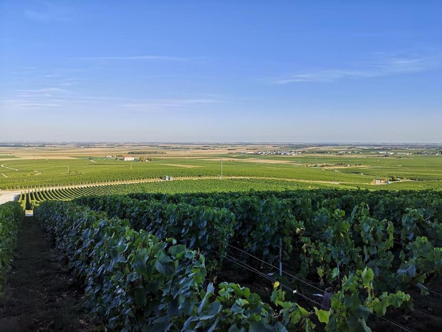 Gite "La Bulle De Lena" Avec Petit-Dejeuner Garage Et Parking Flavigny Bagian luar foto